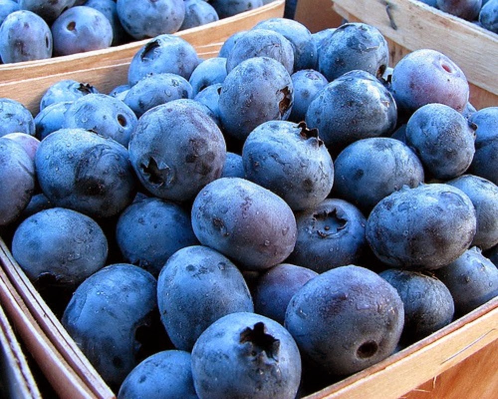 Blueberry Pack (130g approx): Juicy and Sweet Blueberries for Snacking