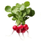 Raddish Bunch 100g