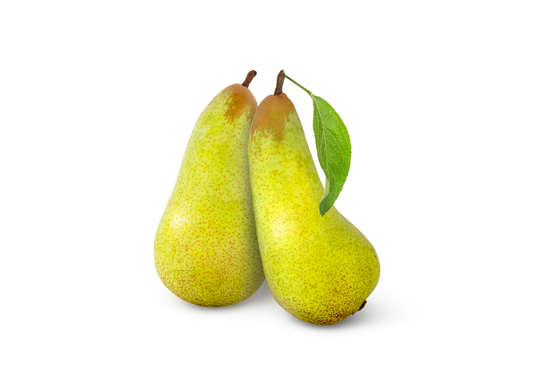Conference Pear each