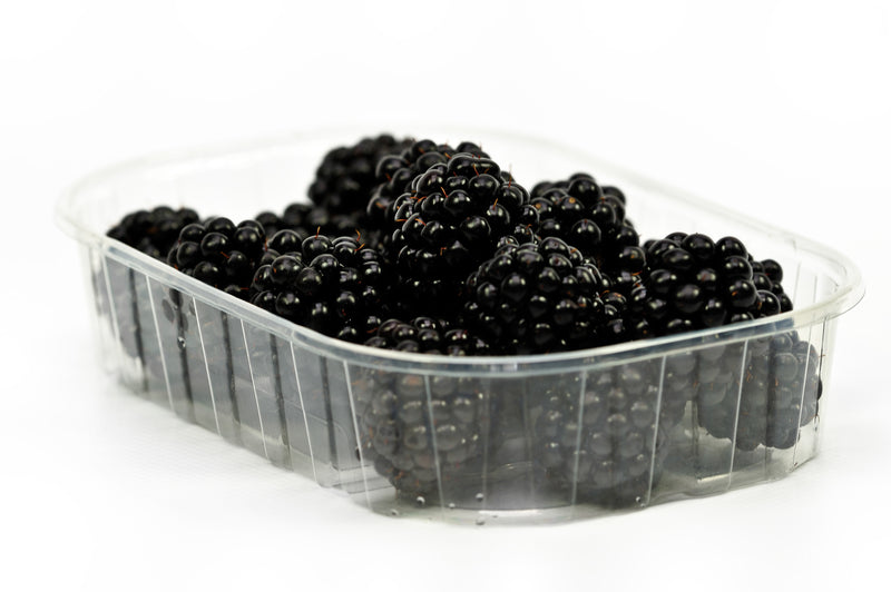 Blackberry Punnet