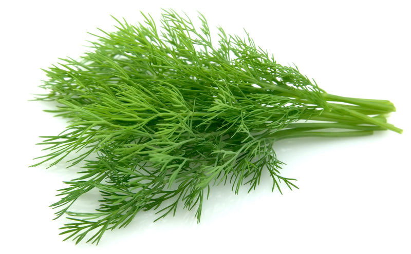 Dill