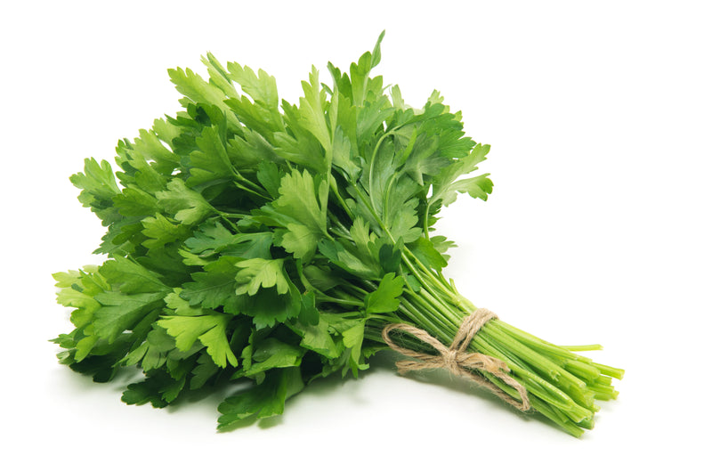 Flat Parsley