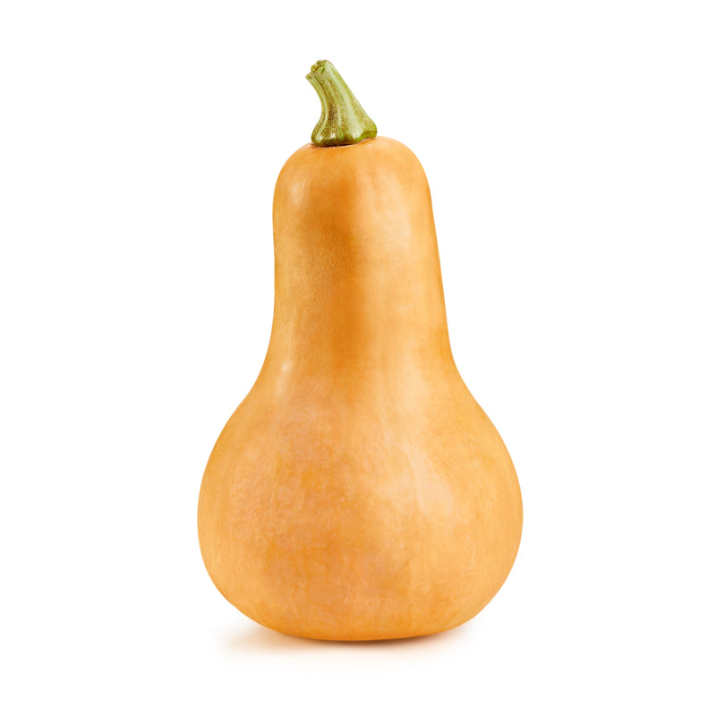 Organic Squash (Butternut Large) 1kg