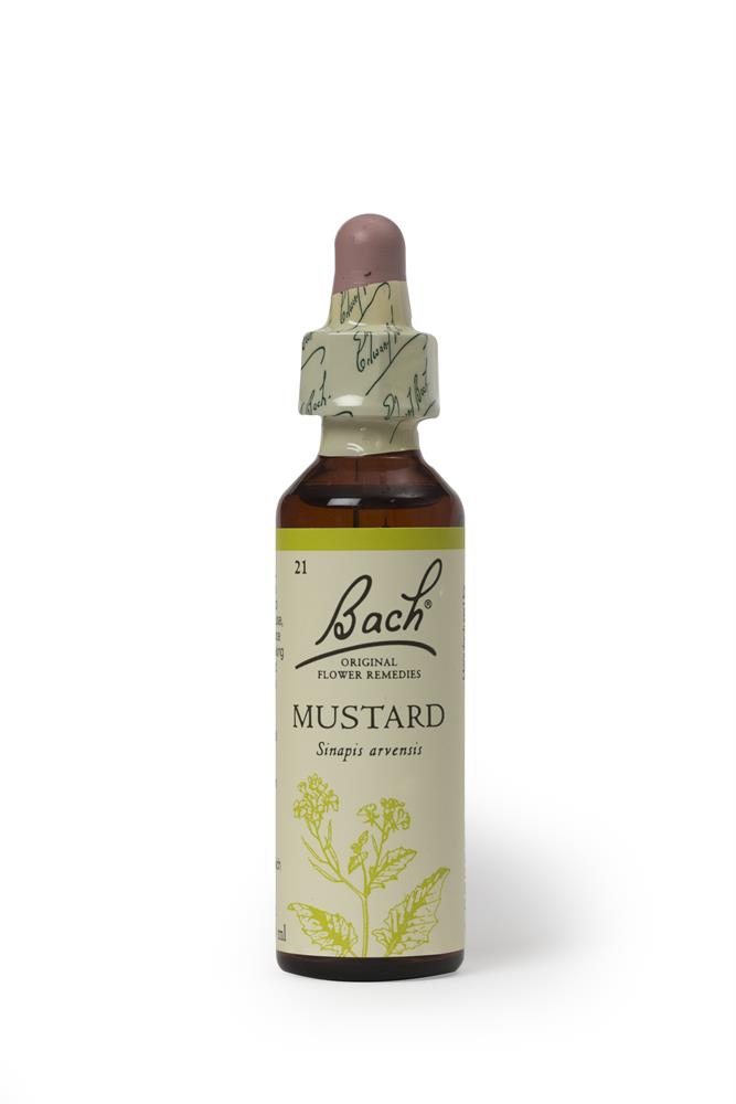 Mustard 20ml