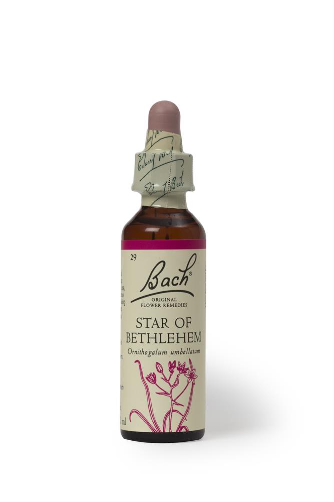 Bach Original Flower Remedies Star of Bethlehem 20ml