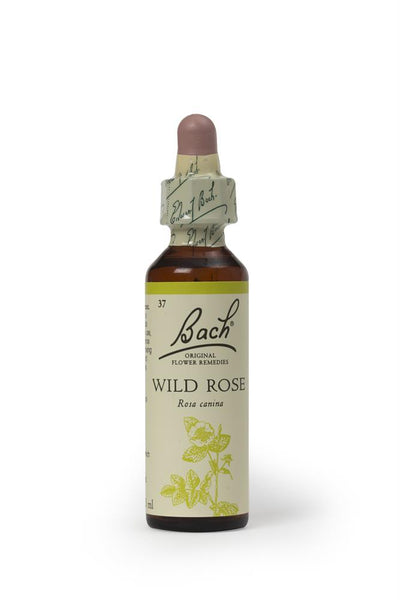 Wild Rose 20ml