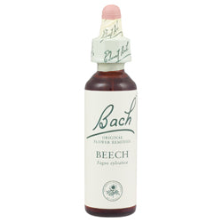 Beech 20ml