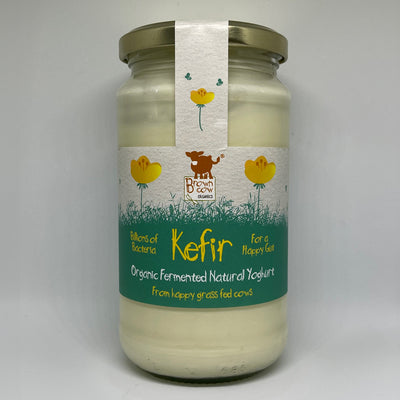 Organic Natural Kefir Fermented Yoghurt 450g