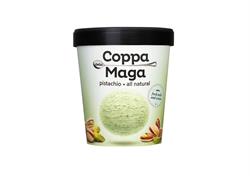 Pistachio Ice Cream 475ml