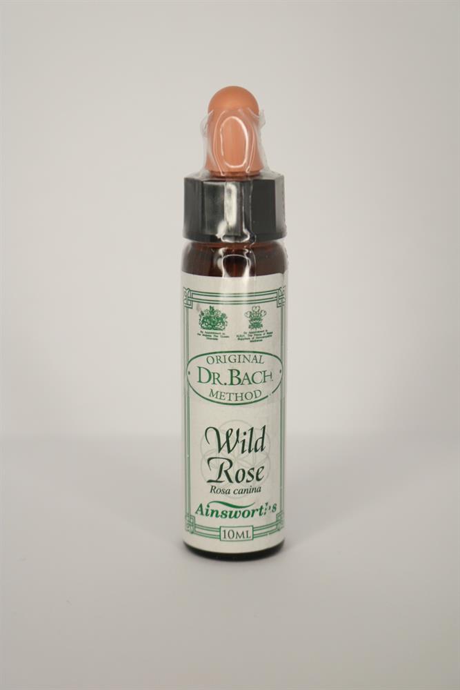 Wild Rose Bach Flower Remedy