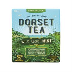 Dorset Tea - Wild about Mint 20 Box