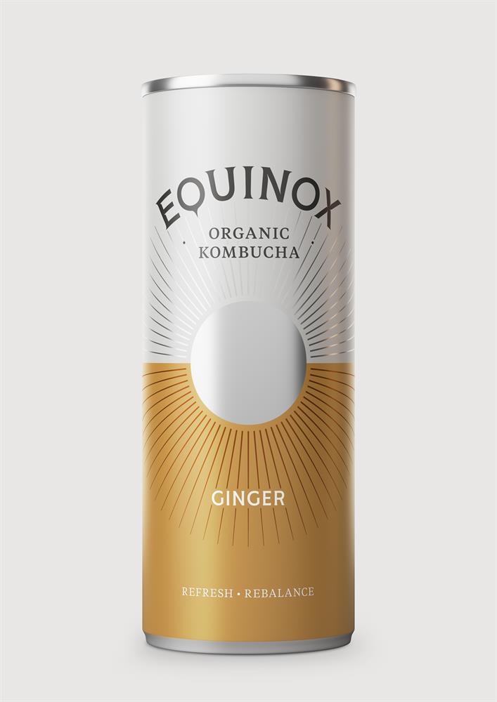 Organic Kombucha Soft Drink with Ginger 250ml can