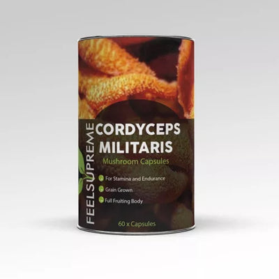 Cordyceps Militaris Mushroom 60 Capsules