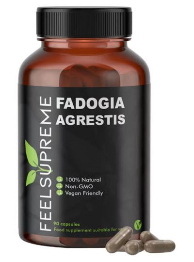 Fadogia Agrestis 90 capsules