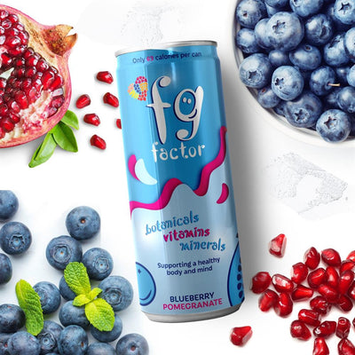 FG Factor Blueberry & Pomegranate Multivitamin Soft Drink