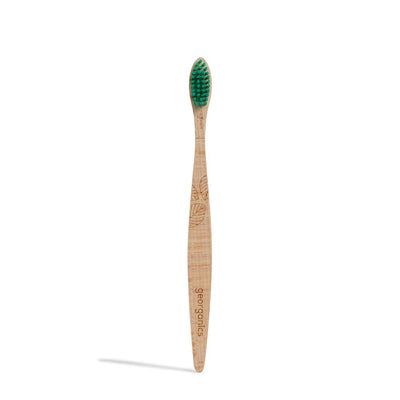 Beechwood Toothbrush - Medium Bristles