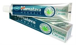 Ayurvedic Dental Cream 100g