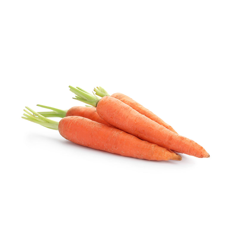 Organic Carrots 12.5kg