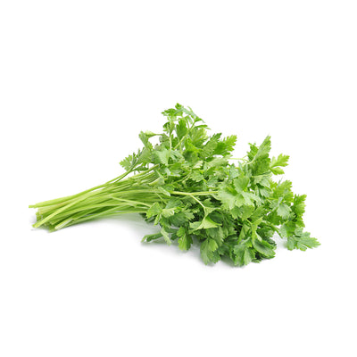 Organic Coriander (Bag) 200g