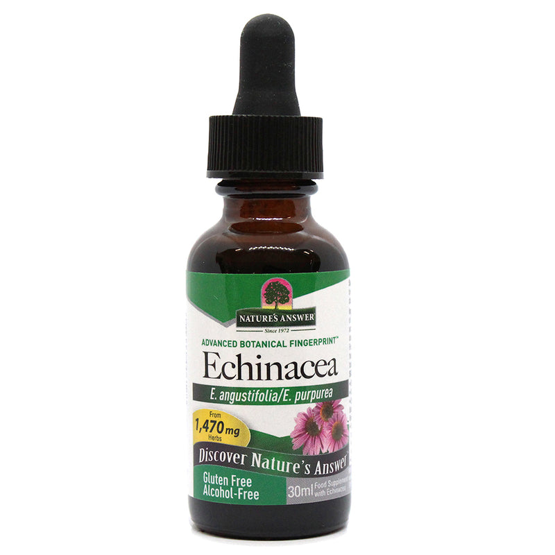 Echinacea Root 30ml