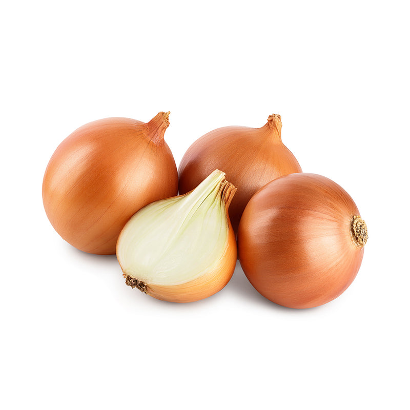 Organic Onions (Brown) 12.5kg