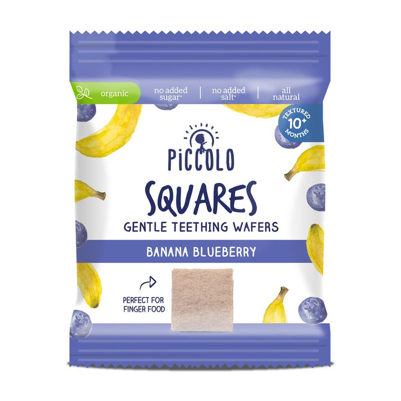 Piccolo Squares Banana Blueberry 20g