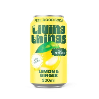 Living Things Lemon and Ginger Feel-Good Soda 330ml