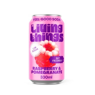 Living Things Raspberry & Pomegranate Feel-Good Soda 330ml