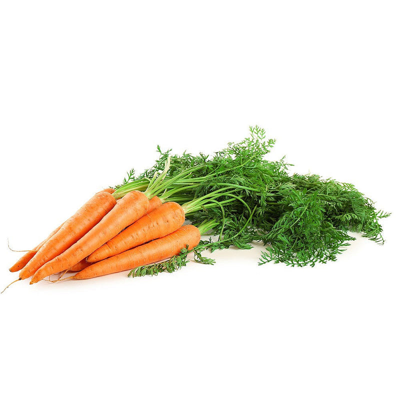 Carrot Bunch
