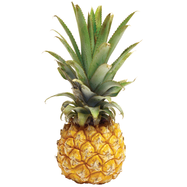 Baby Pineapple Each