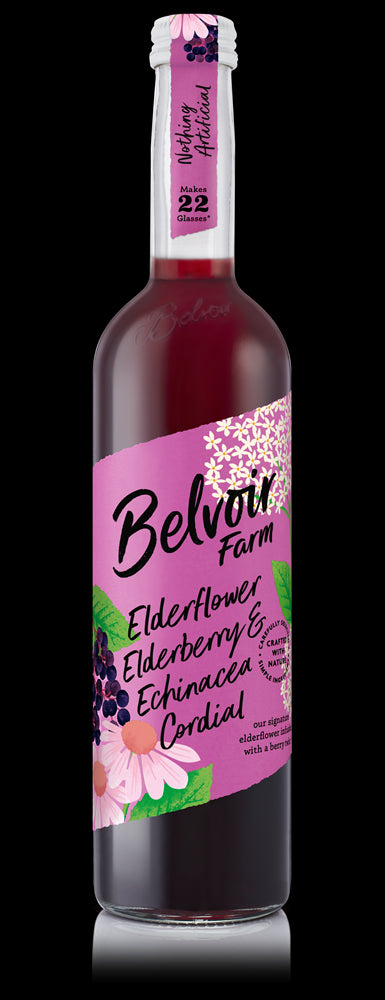 Elderflower, Elderberry and Echinacea Cordial
