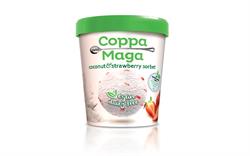 Vegan Coconut & Strawberry Ice Cream 125ml
