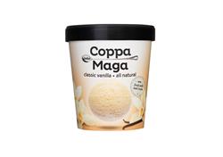 Classic Vanilla Ice Cream 500ml