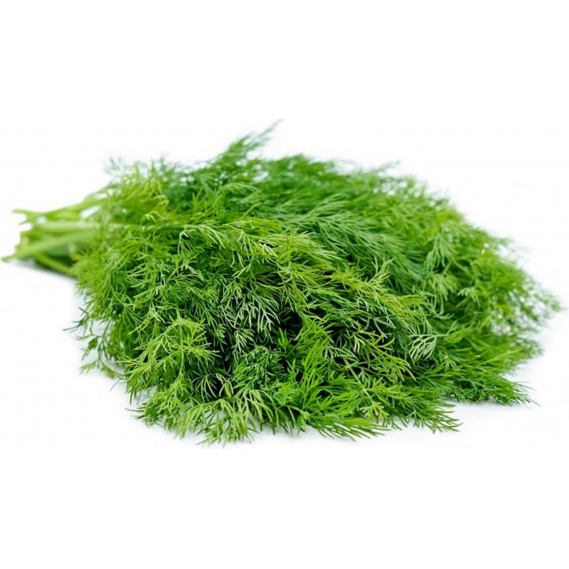 Dill