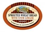 Organic Sprouted Stem Ginger Bread   400g