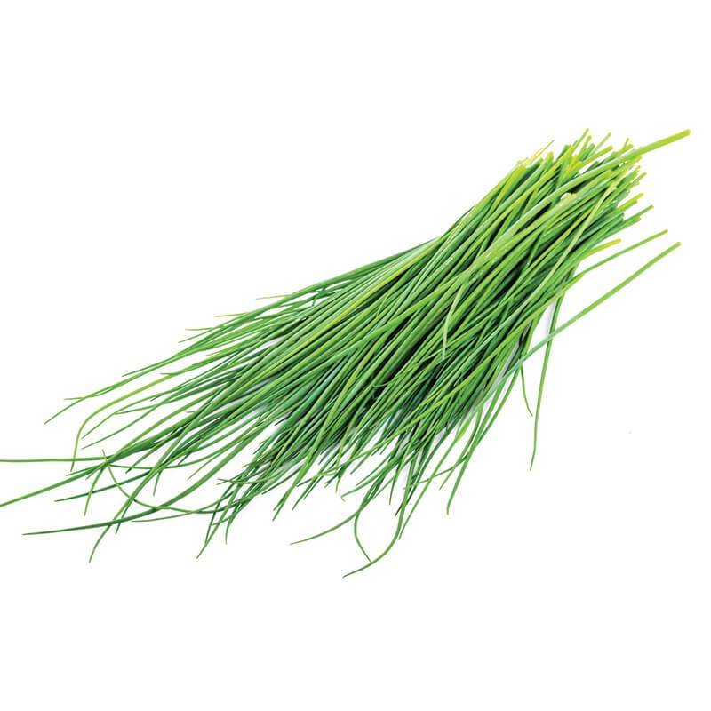 Chives: Fragrant and Mild Herb for Culinary Delights