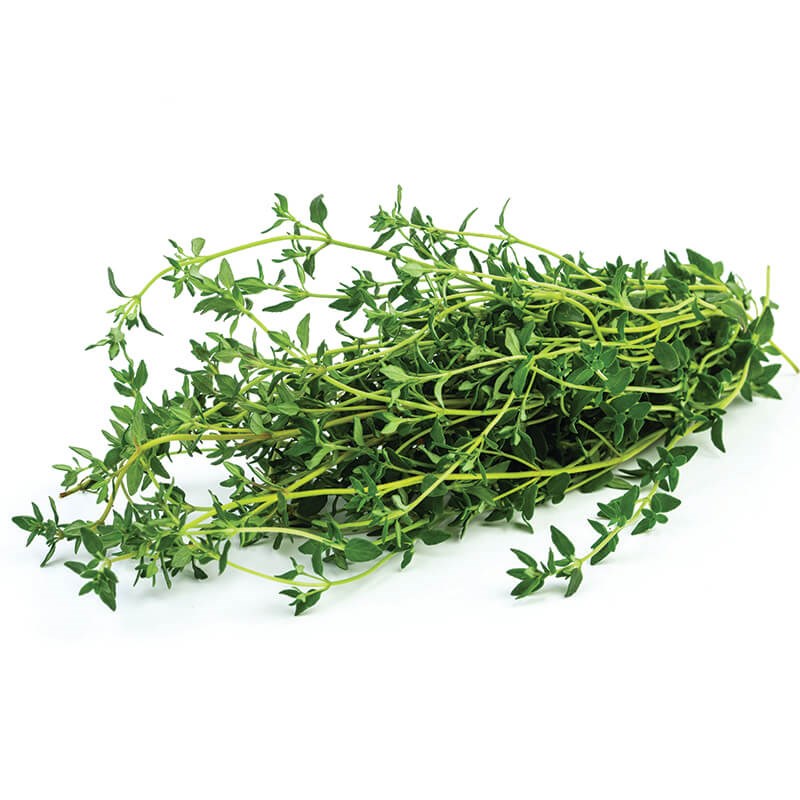 Thyme