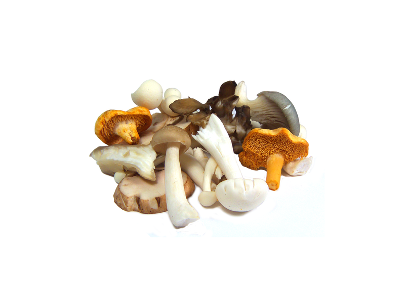 Wild Mushroom Pack Each